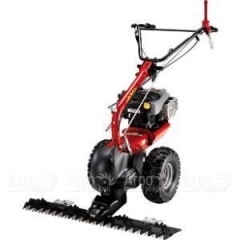 Бензиновая сенокосилка Eurosystems P-70 EVO B&#38;S 850E Series в Уфе