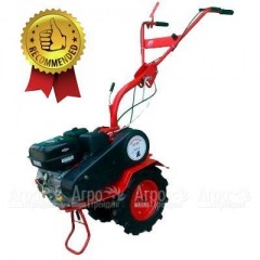 Мотоблок Агат БС-6.5 с двигателем Briggs&#38;Stratton RS 6.5 л.с. (фрезы в комплекте) в Уфе