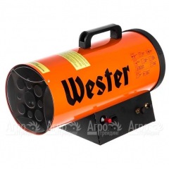 Газовая тепловая пушка Wester TG-20 в Уфе