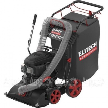Пылесос садовый бензиновый Elitech HD GV 2958WTS (E1608.008.00) в Уфе