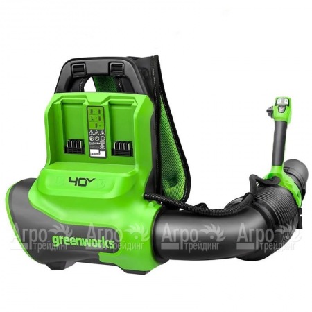 Воздуходувка аккумуляторная GreenWorks GD40BPG2  в Уфе