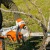 Аккумуляторная пила Stihl MSA 220 C-BQ-14" (без аккумулятора и зарядного устройства) в Уфе